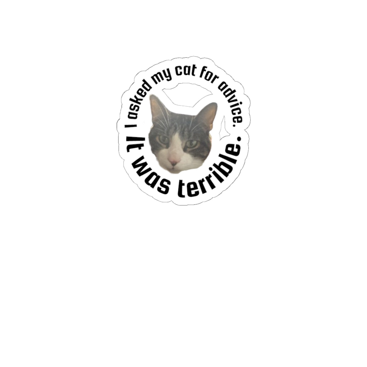 Kiss-Cut Sticker — “I Asked My Cat for Advice. I Was Terrible.” Funny Cat Decal
