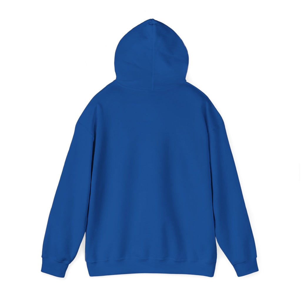 Professional Overthinker Hoodie — Funny Mental Health Humor Pullover