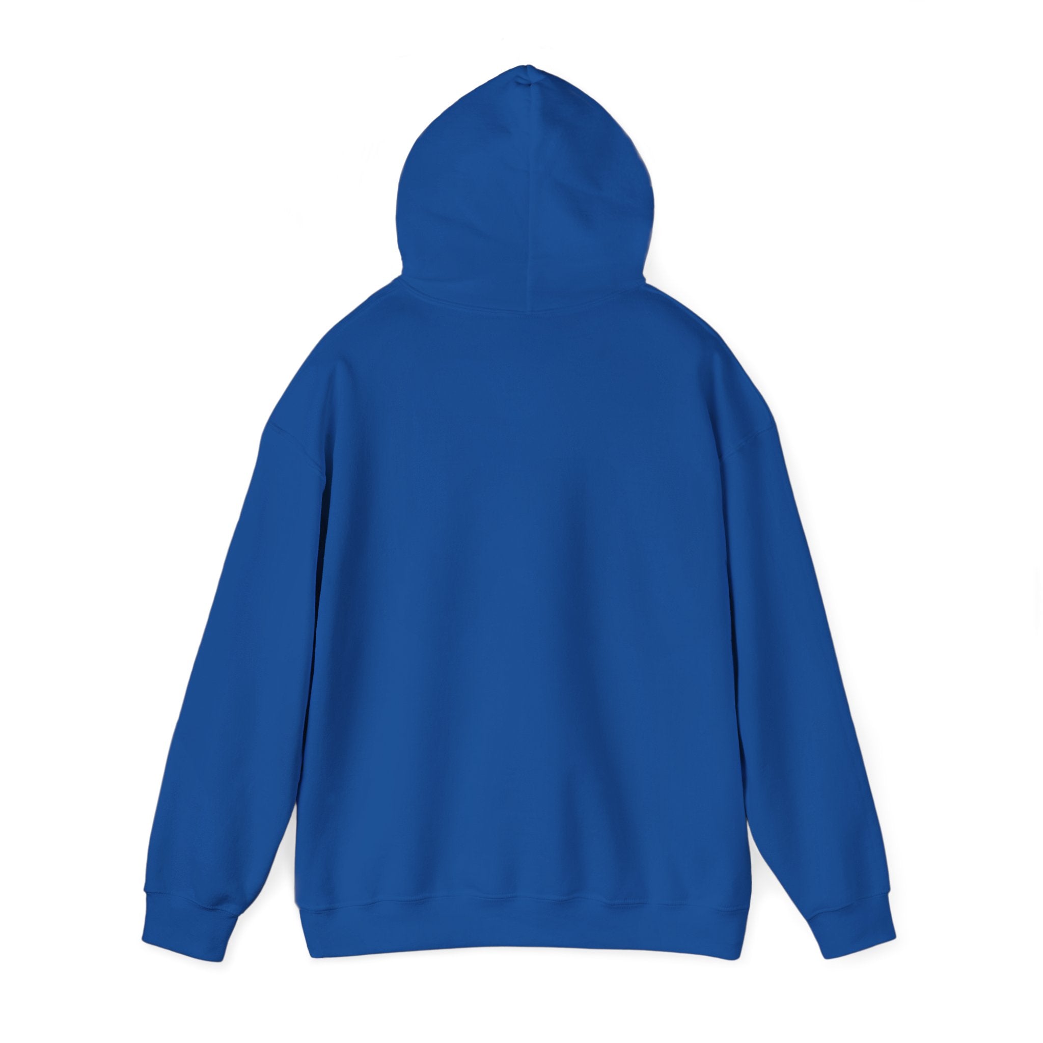 Professional Overthinker Hoodie — Funny Mental Health Humor Pullover