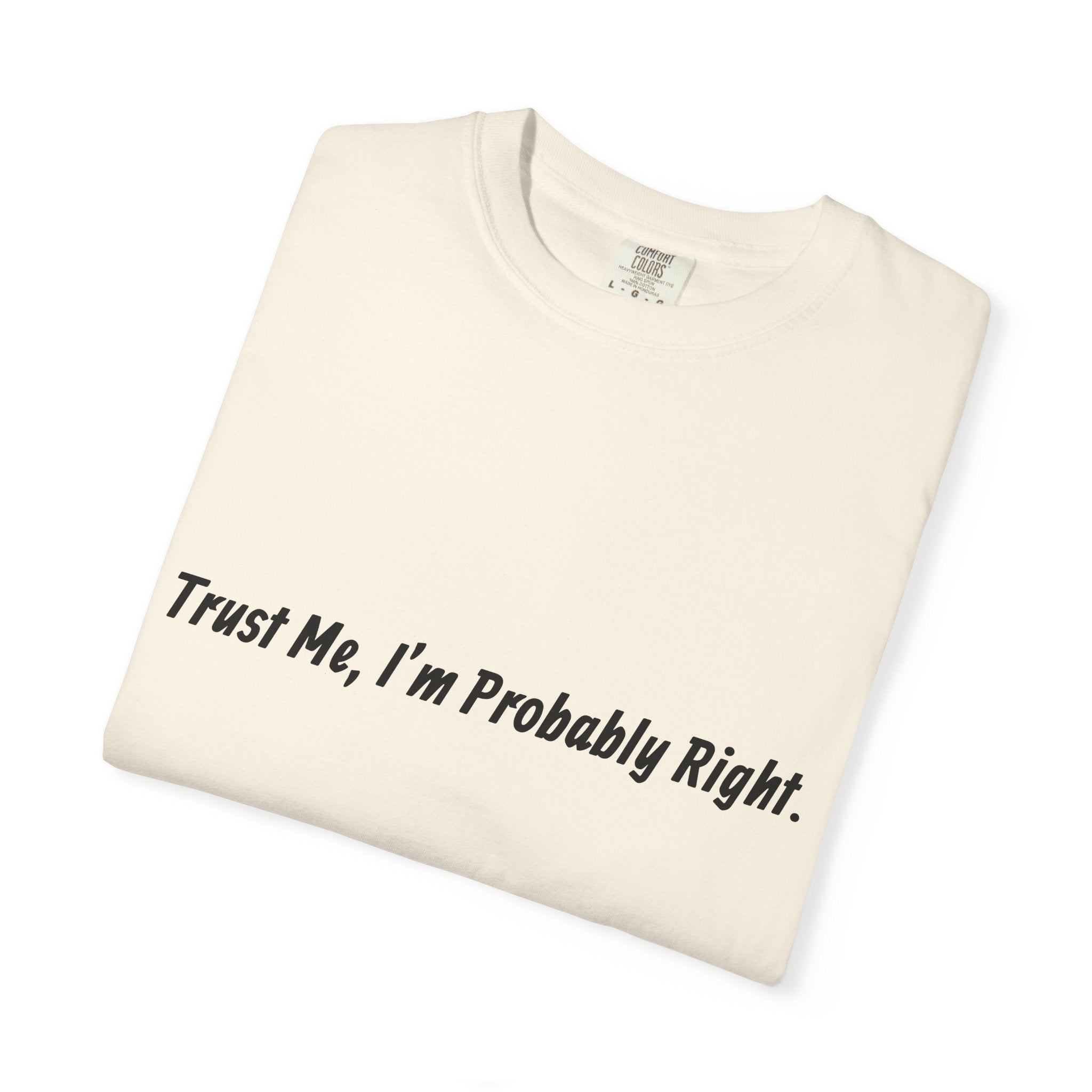 Trust Me I'm Probably Right T-Shirt — Funny Sarcastic Graphic Tee