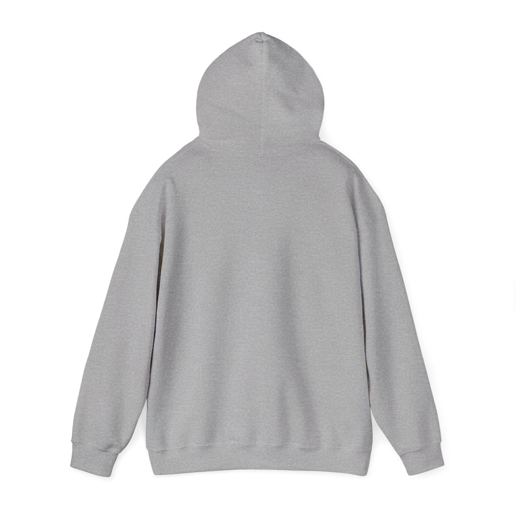 Hoodie - "CDM Certified Disaster Magnet" Graphic Pullover
