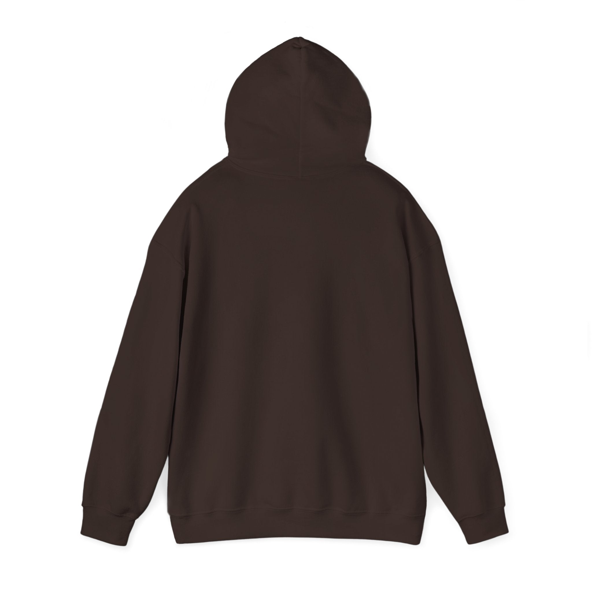 Professional Overthinker Hoodie — Funny Mental Health Humor Pullover