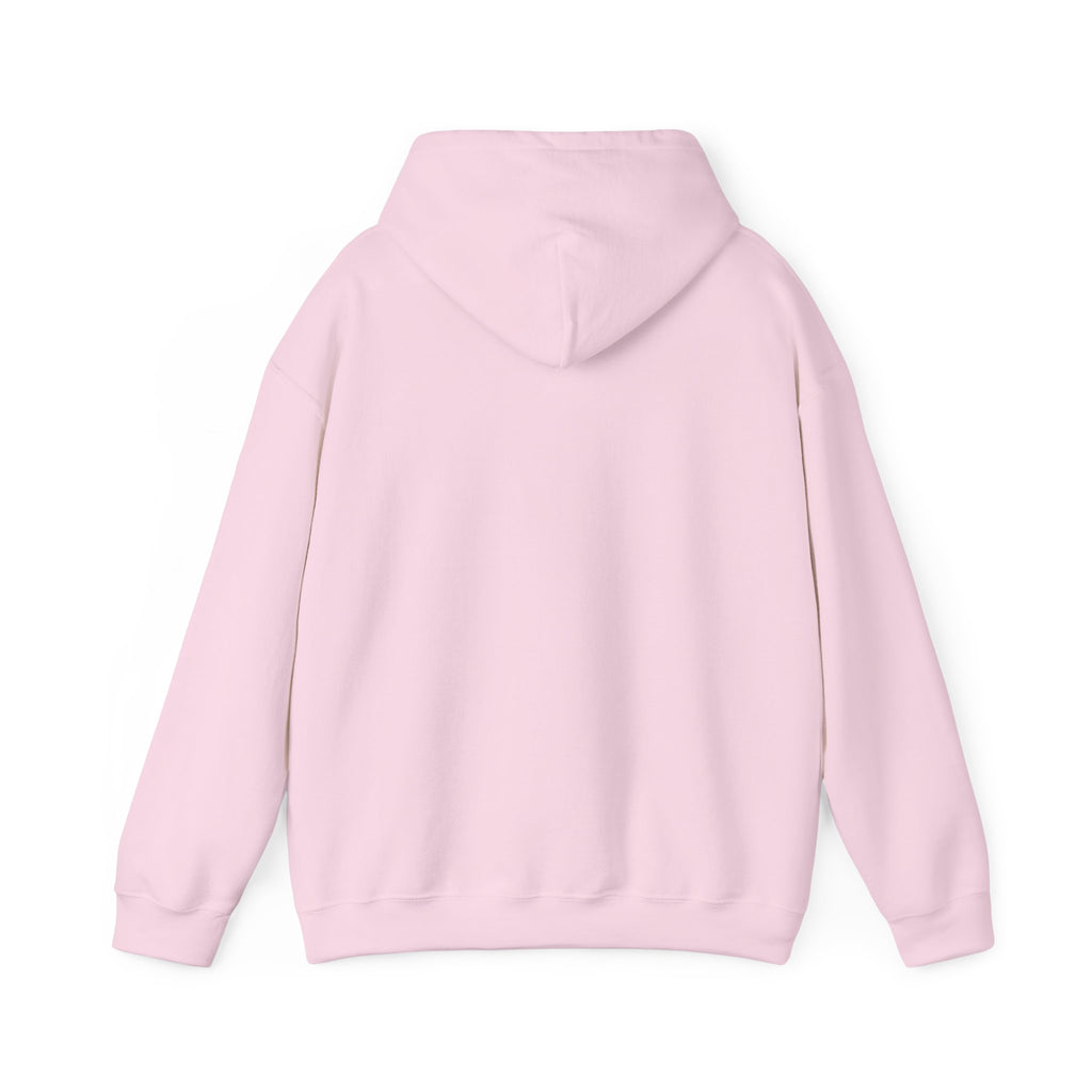 Professional Overthinker Hoodie — Funny Mental Health Humor Pullover