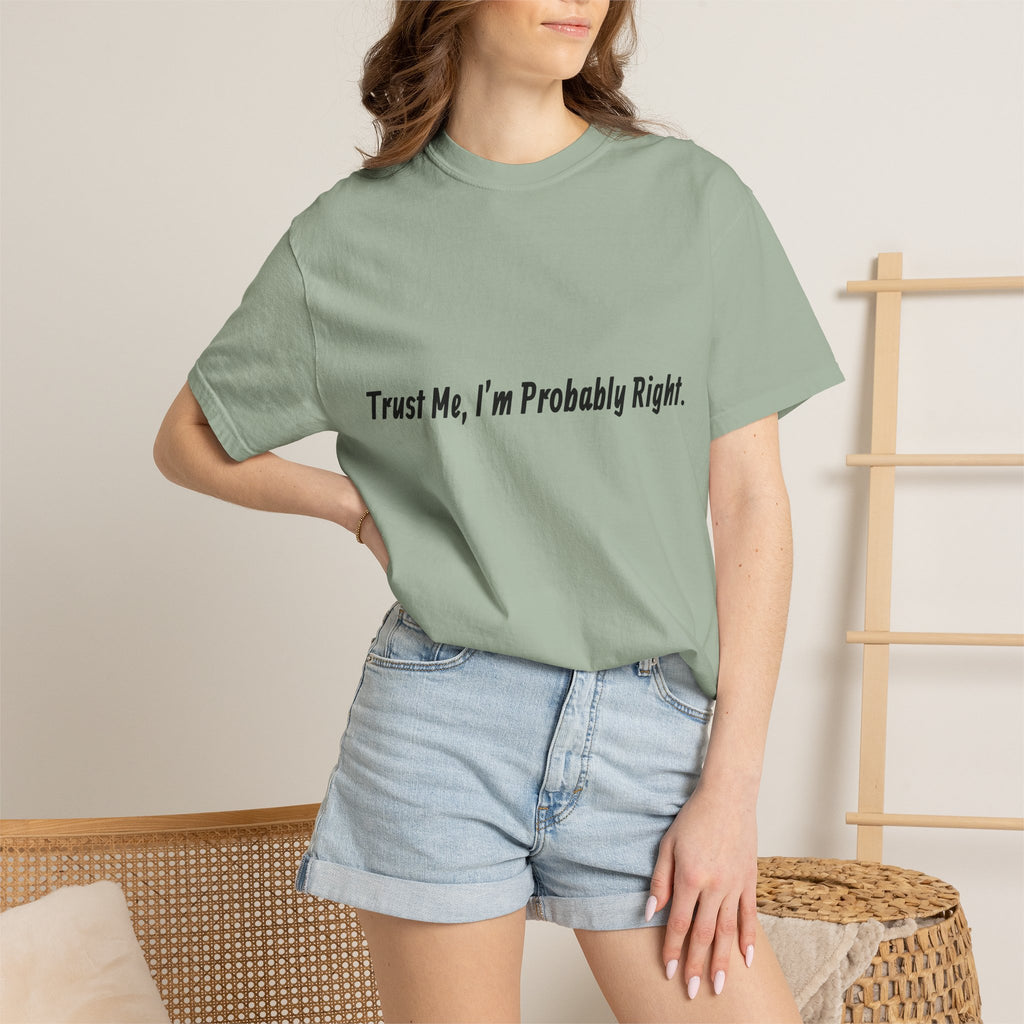 Trust Me I'm Probably Right T-Shirt — Funny Sarcastic Graphic Tee