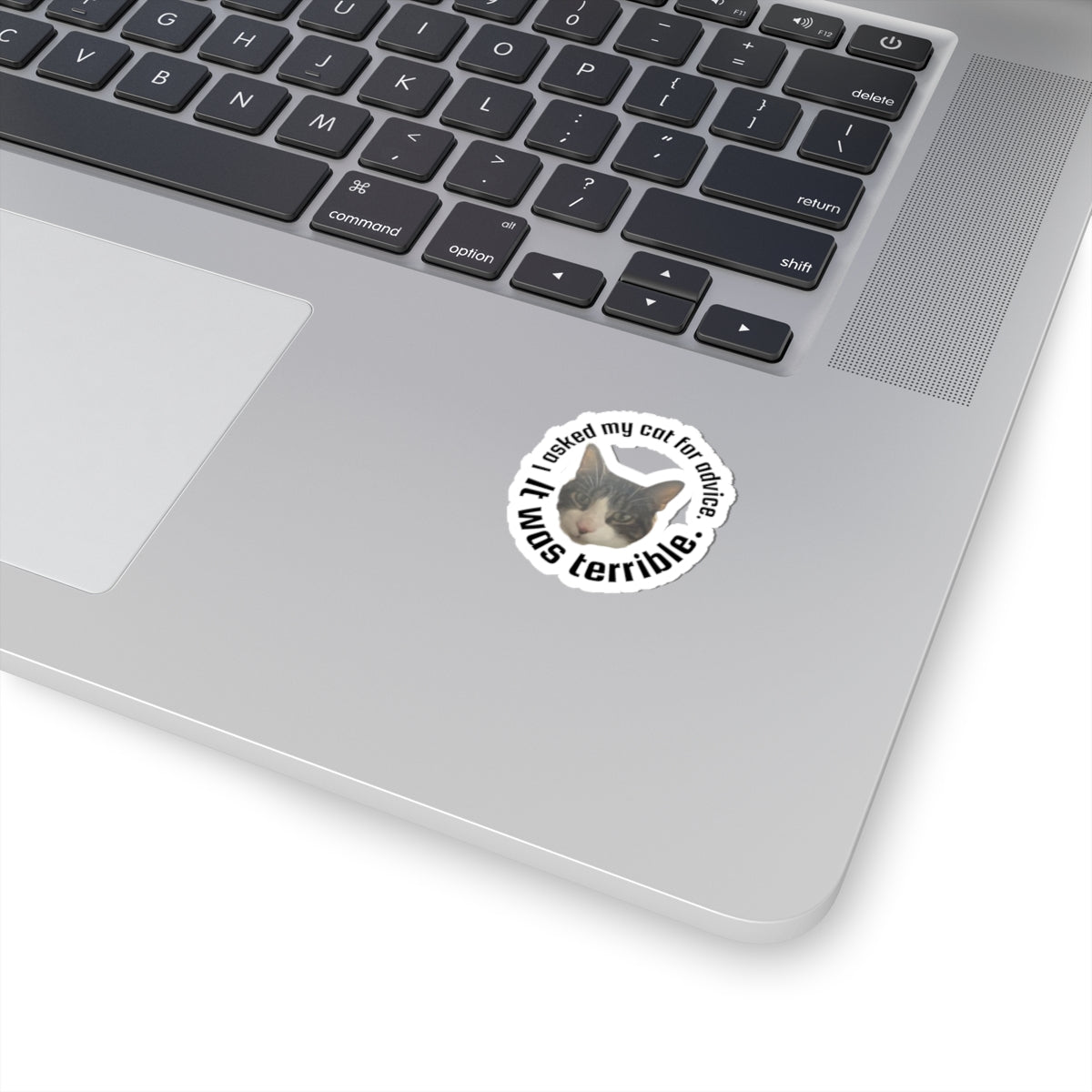 Kiss-Cut Sticker — “I Asked My Cat for Advice. I Was Terrible.” Funny Cat Decal