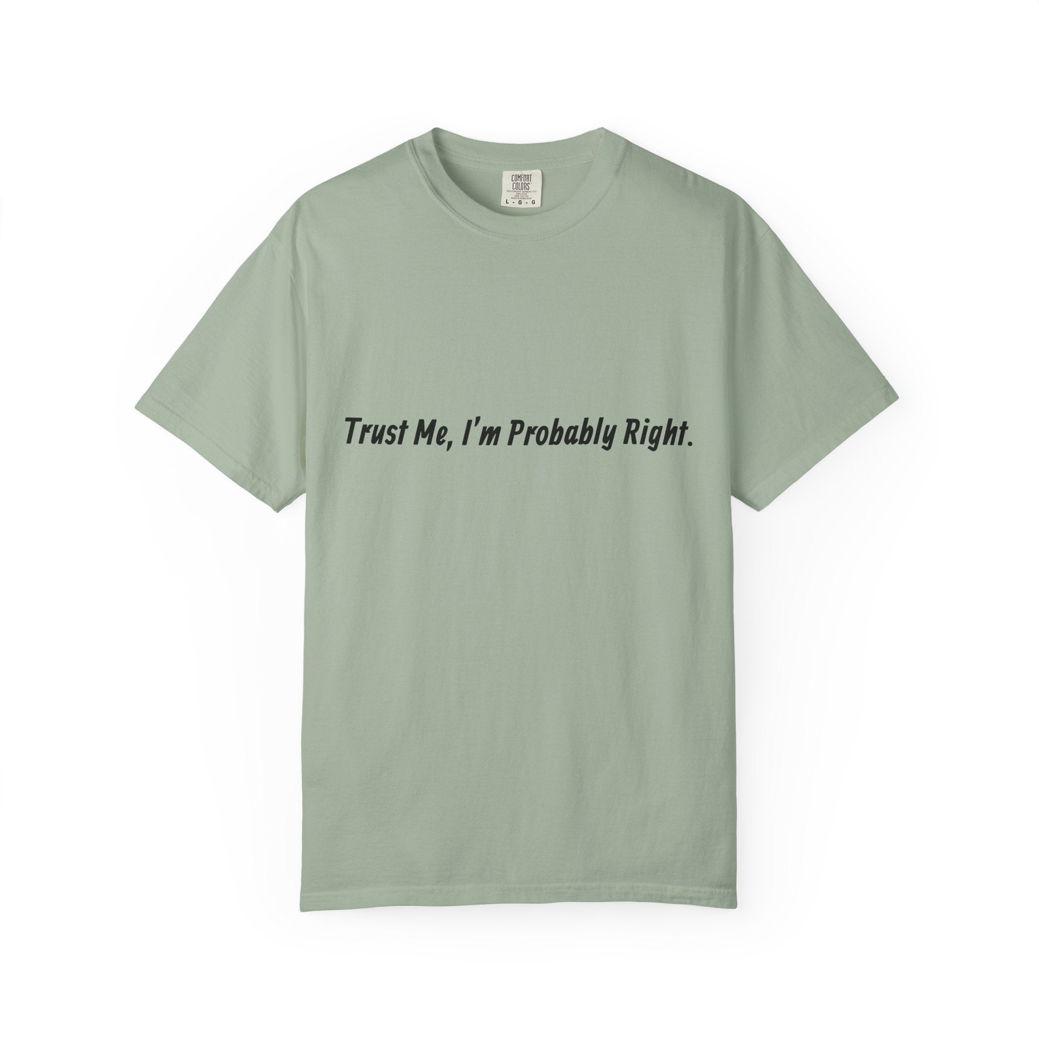 Trust Me I'm Probably Right T-Shirt — Funny Sarcastic Graphic Tee