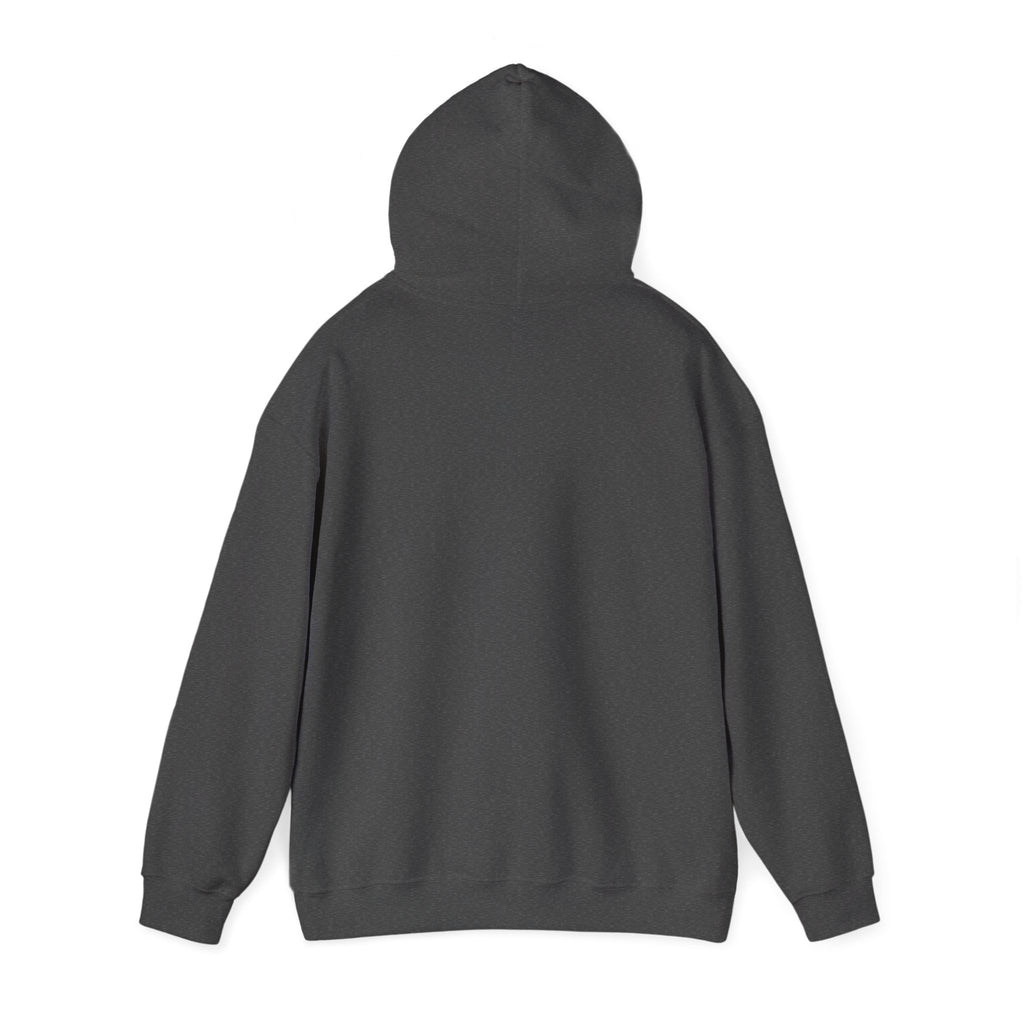 Professional Overthinker Hoodie — Funny Mental Health Humor Pullover