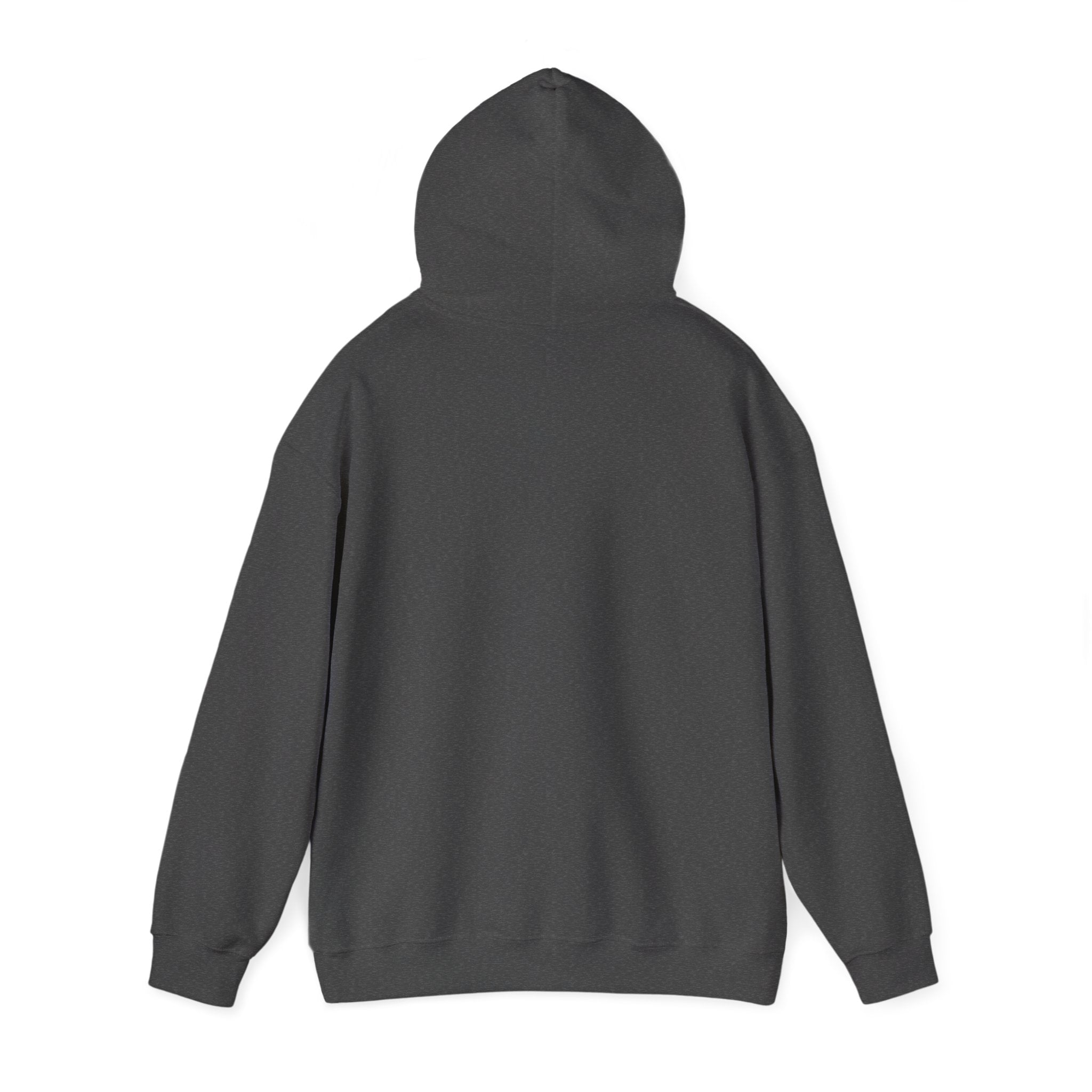 Professional Overthinker Hoodie — Funny Mental Health Humor Pullover