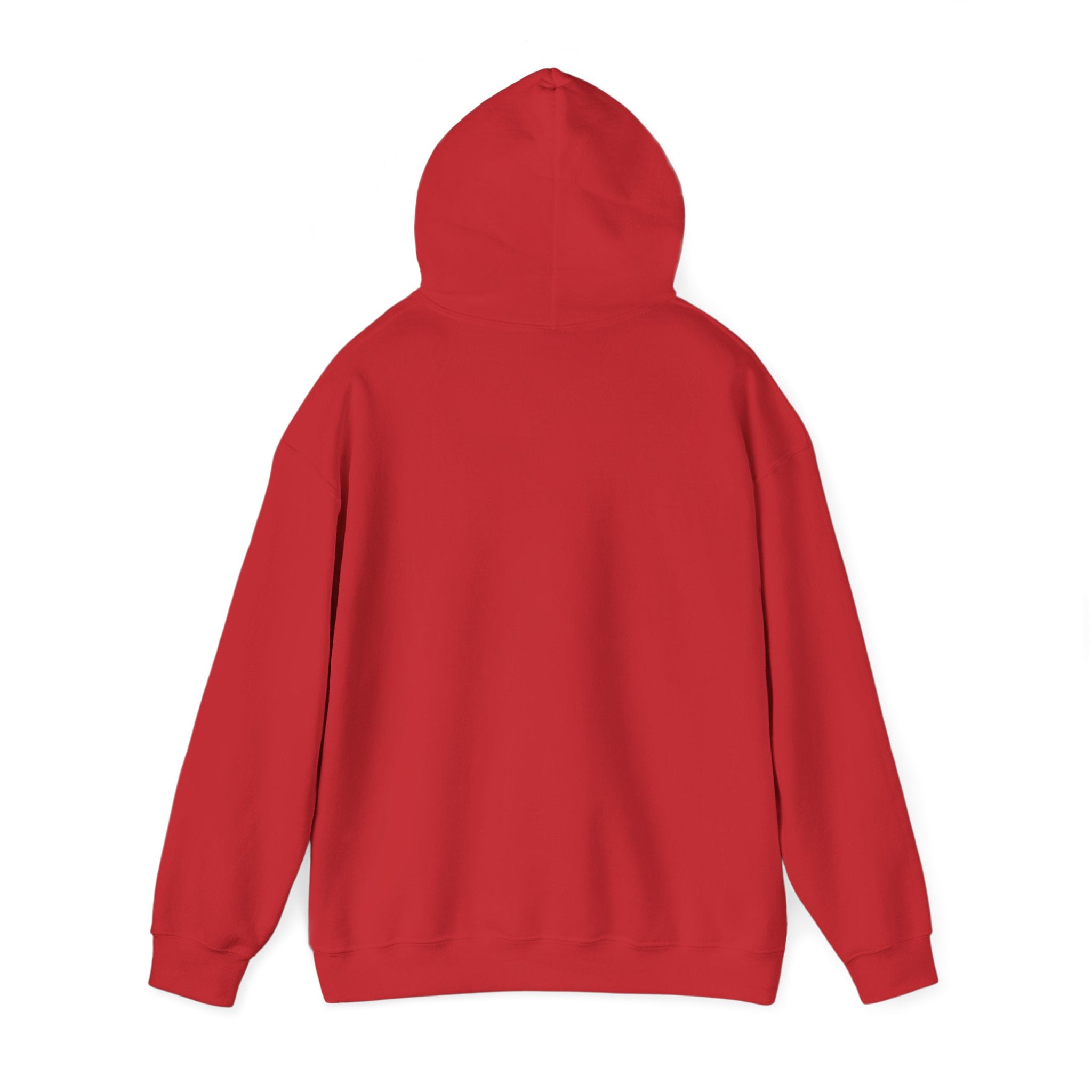 Professional Overthinker Hoodie — Funny Mental Health Humor Pullover