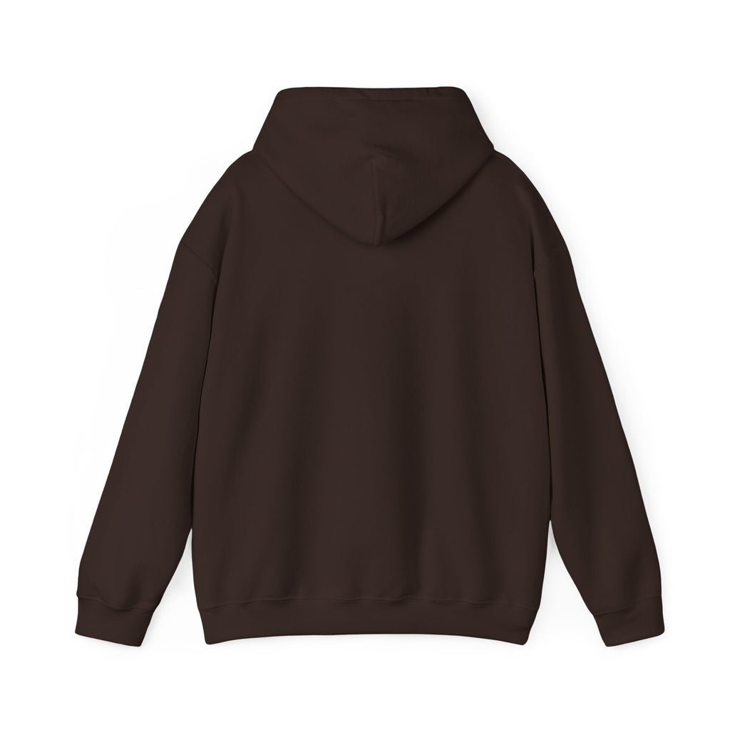 Professional Overthinker Hoodie — Funny Mental Health Humor Pullover