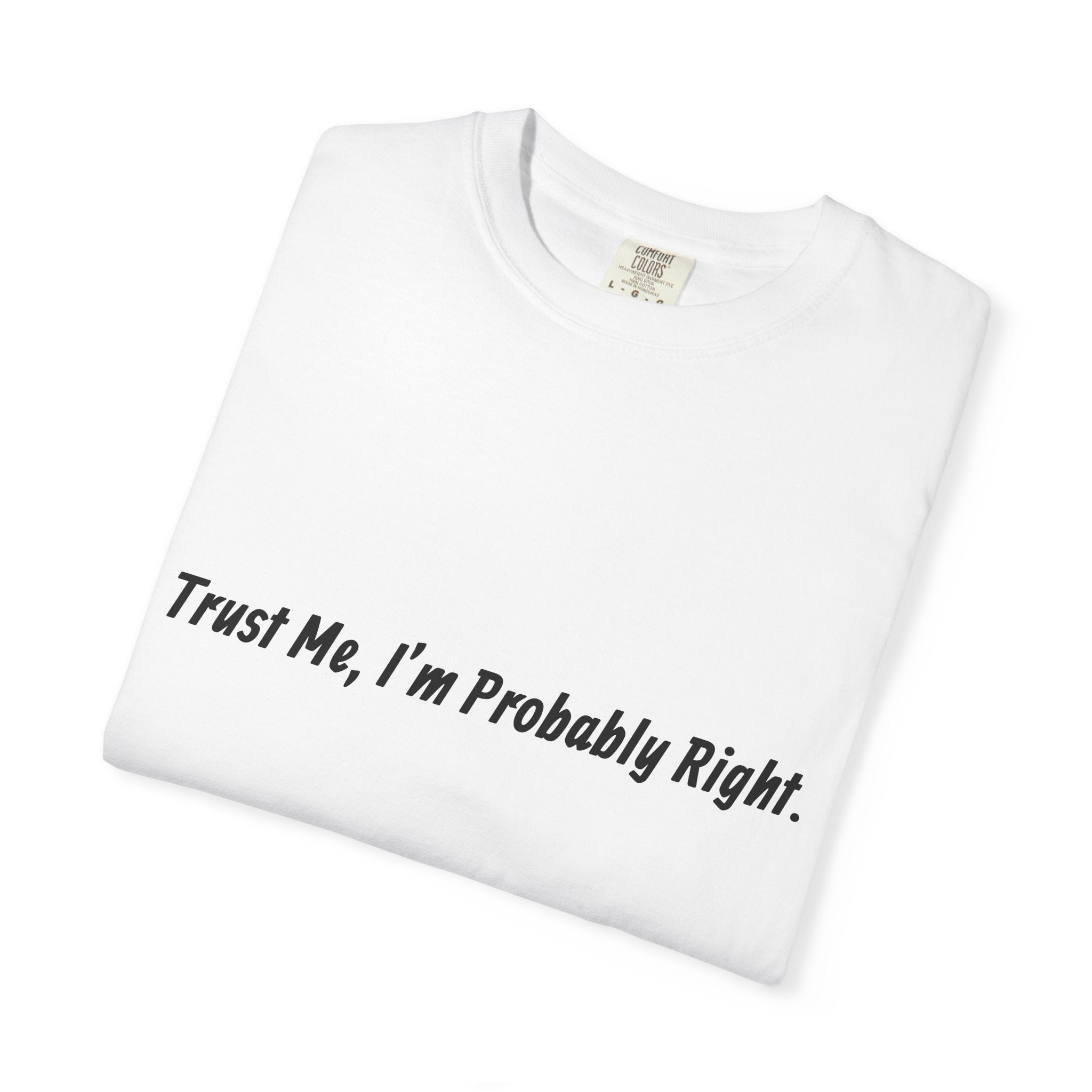 Trust Me I'm Probably Right T-Shirt — Funny Sarcastic Graphic Tee