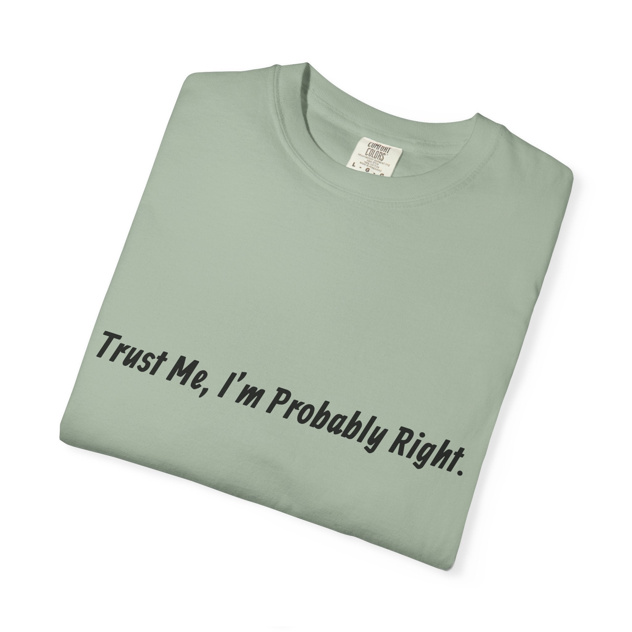 Trust Me I'm Probably Right T-Shirt — Funny Sarcastic Graphic Tee
