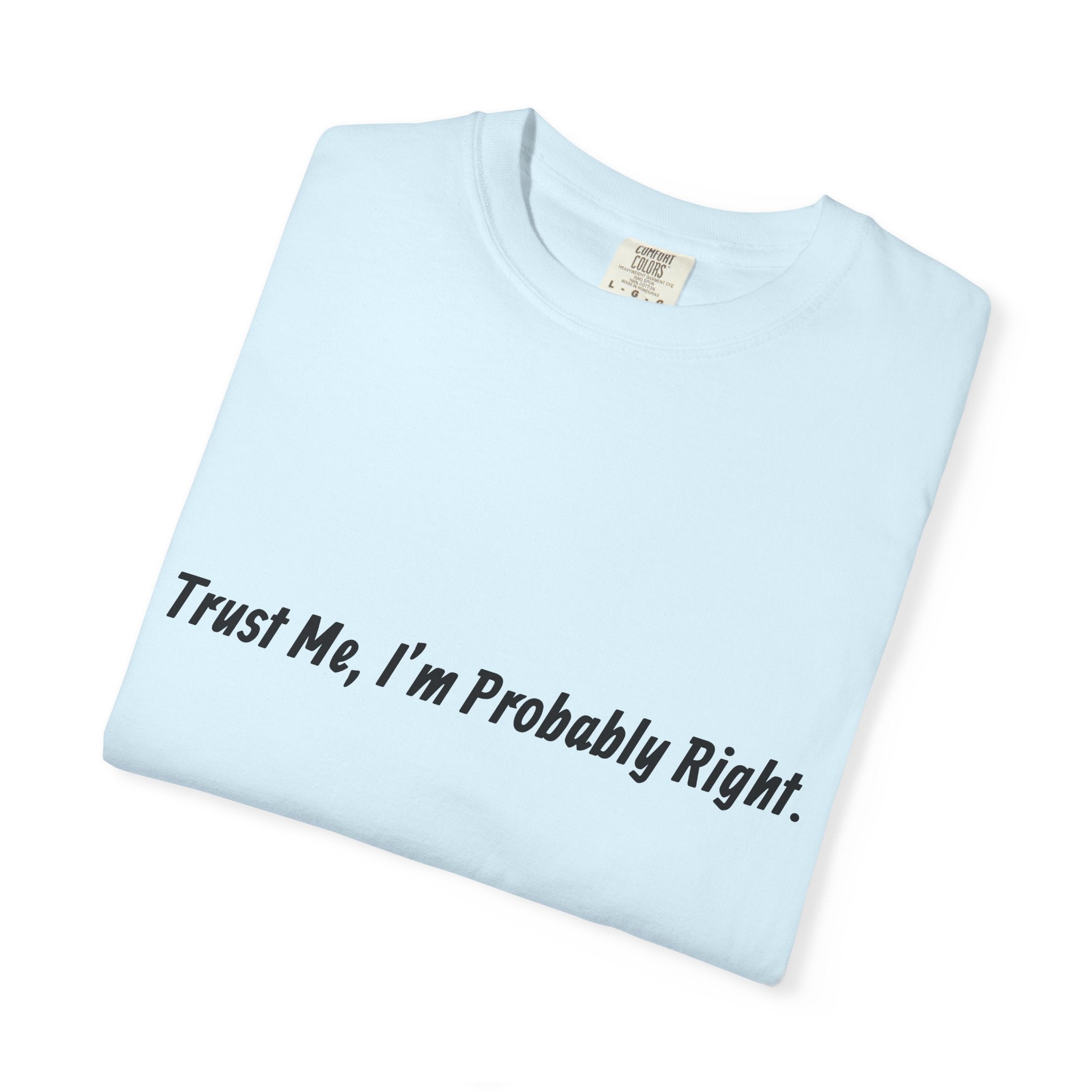 Trust Me I'm Probably Right T-Shirt — Funny Sarcastic Graphic Tee
