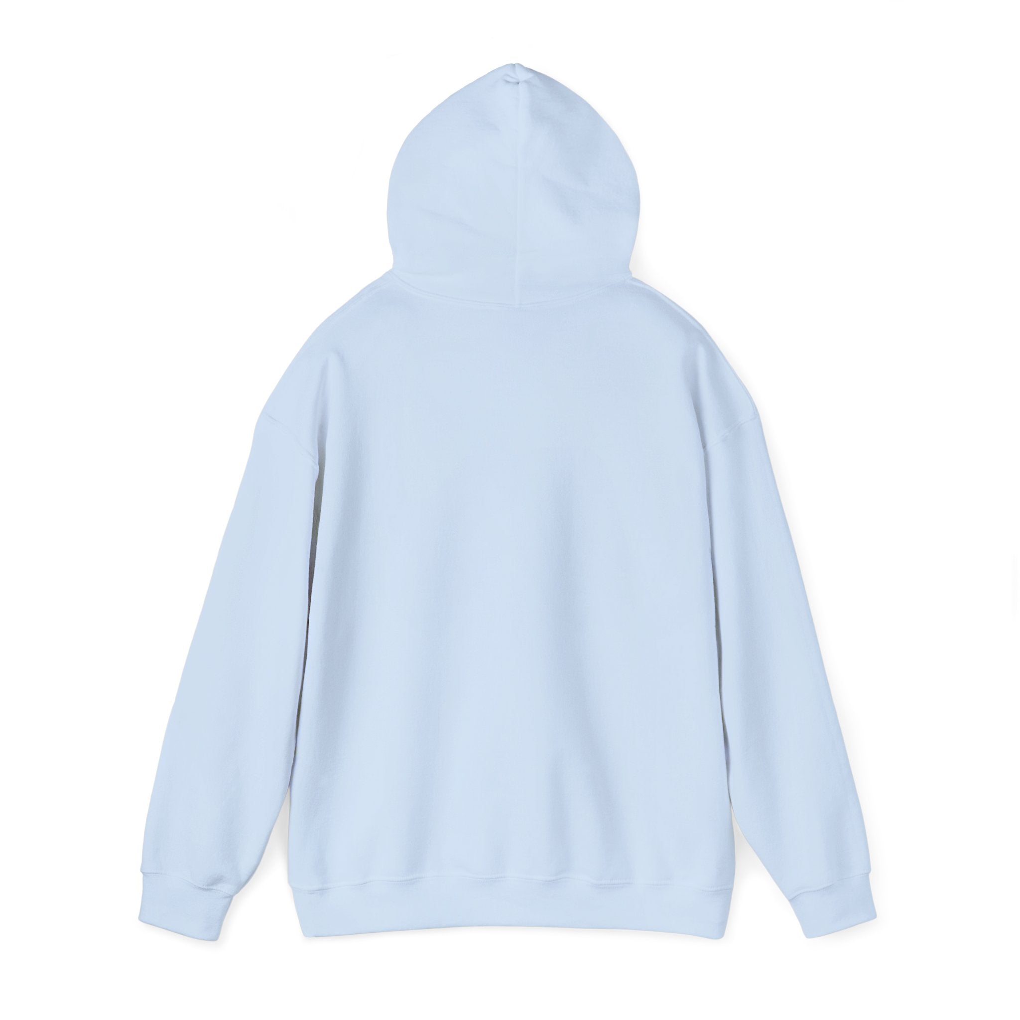 Professional Overthinker Hoodie — Funny Mental Health Humor Pullover