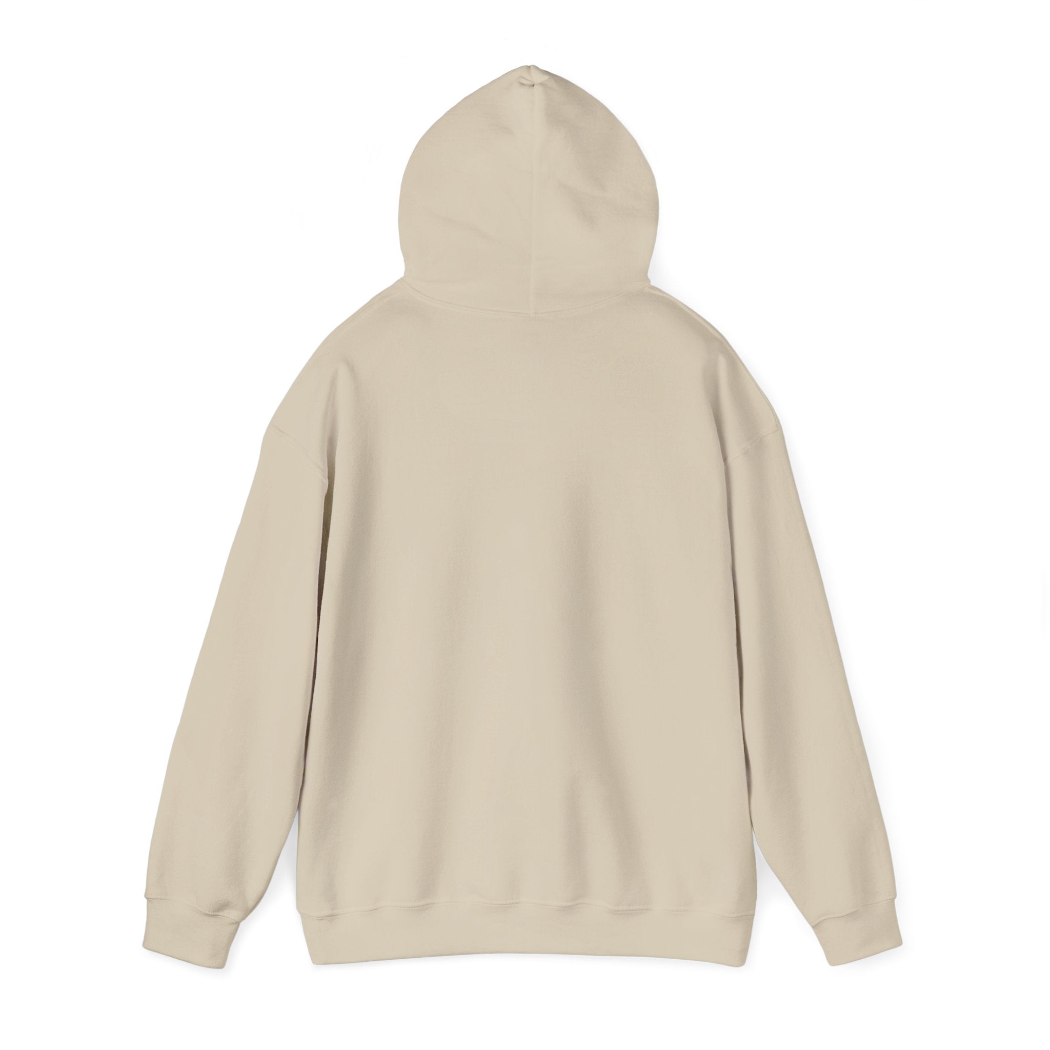 Hoodie - “Professional Overthinker” Pullover Sweatshirt with Scribble Graphic