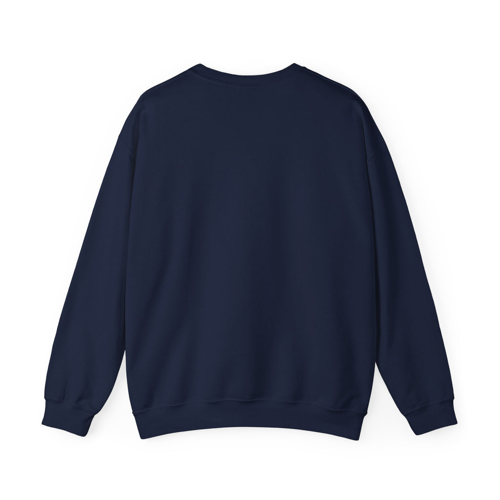 Banker Joke Sweatshirt — "I used to be a banker... That is, until I lost interet."