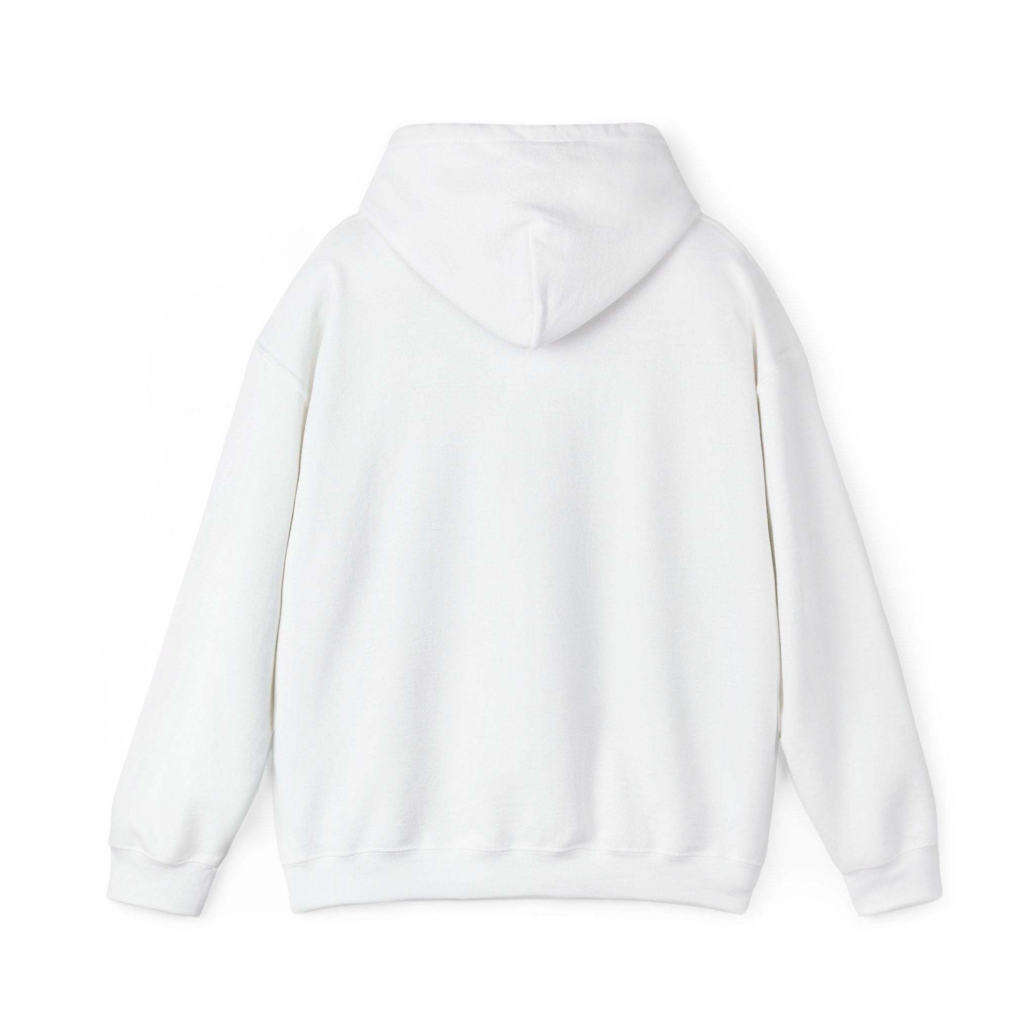 Hoodie — "Earth: 2/5 Stars, Wouldn't Recommend" Funny Review Graphic Hoodie