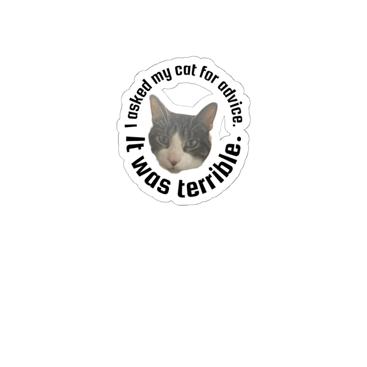Kiss-Cut Sticker — “I Asked My Cat for Advice. I Was Terrible.” Funny Cat Decal