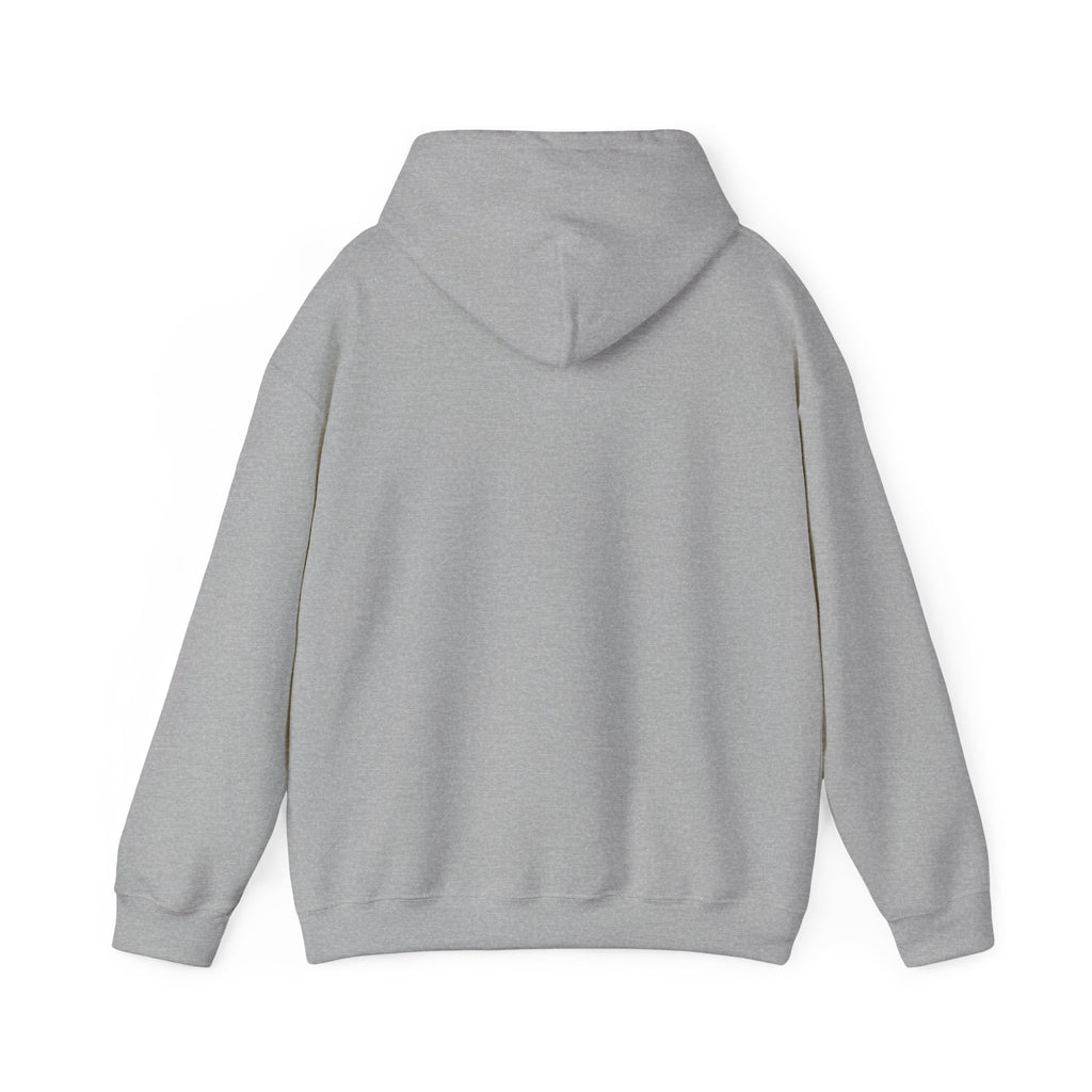 Hoodie - "CDM Certified Disaster Magnet" Graphic Pullover
