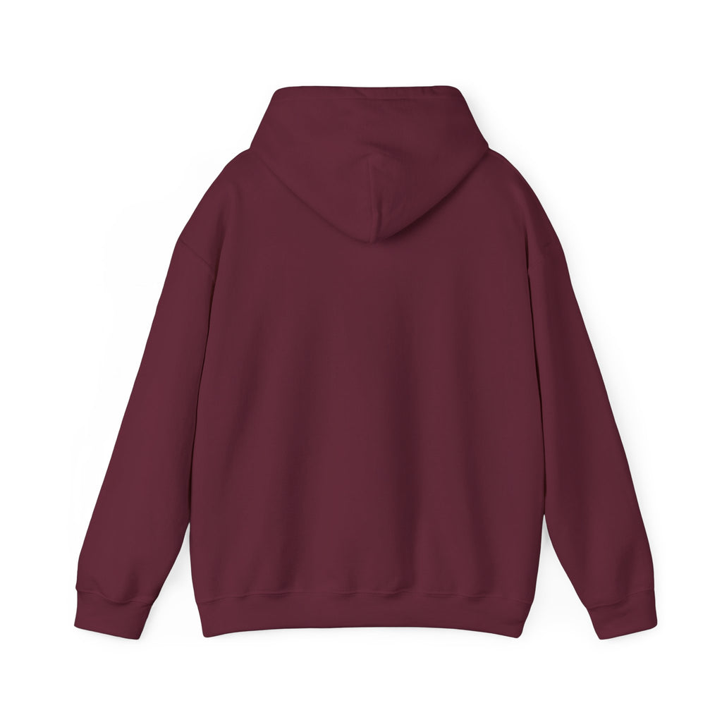 Professional Overthinker Hoodie — Funny Mental Health Humor Pullover