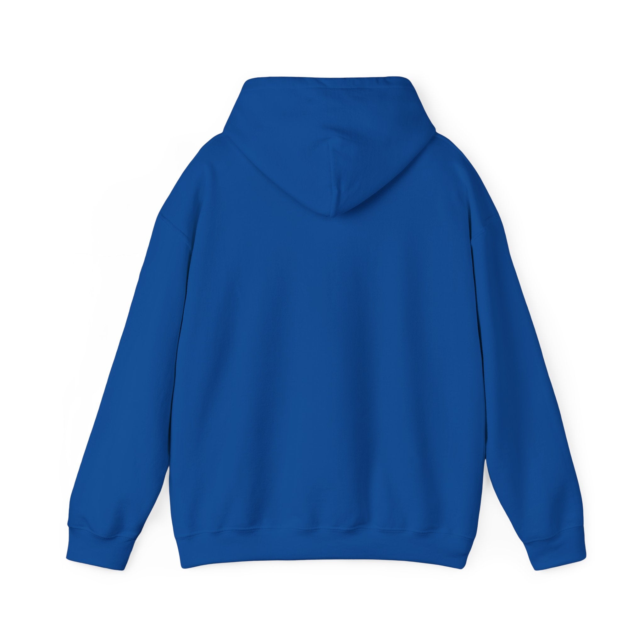 Professional Overthinker Hoodie — Funny Mental Health Humor Pullover