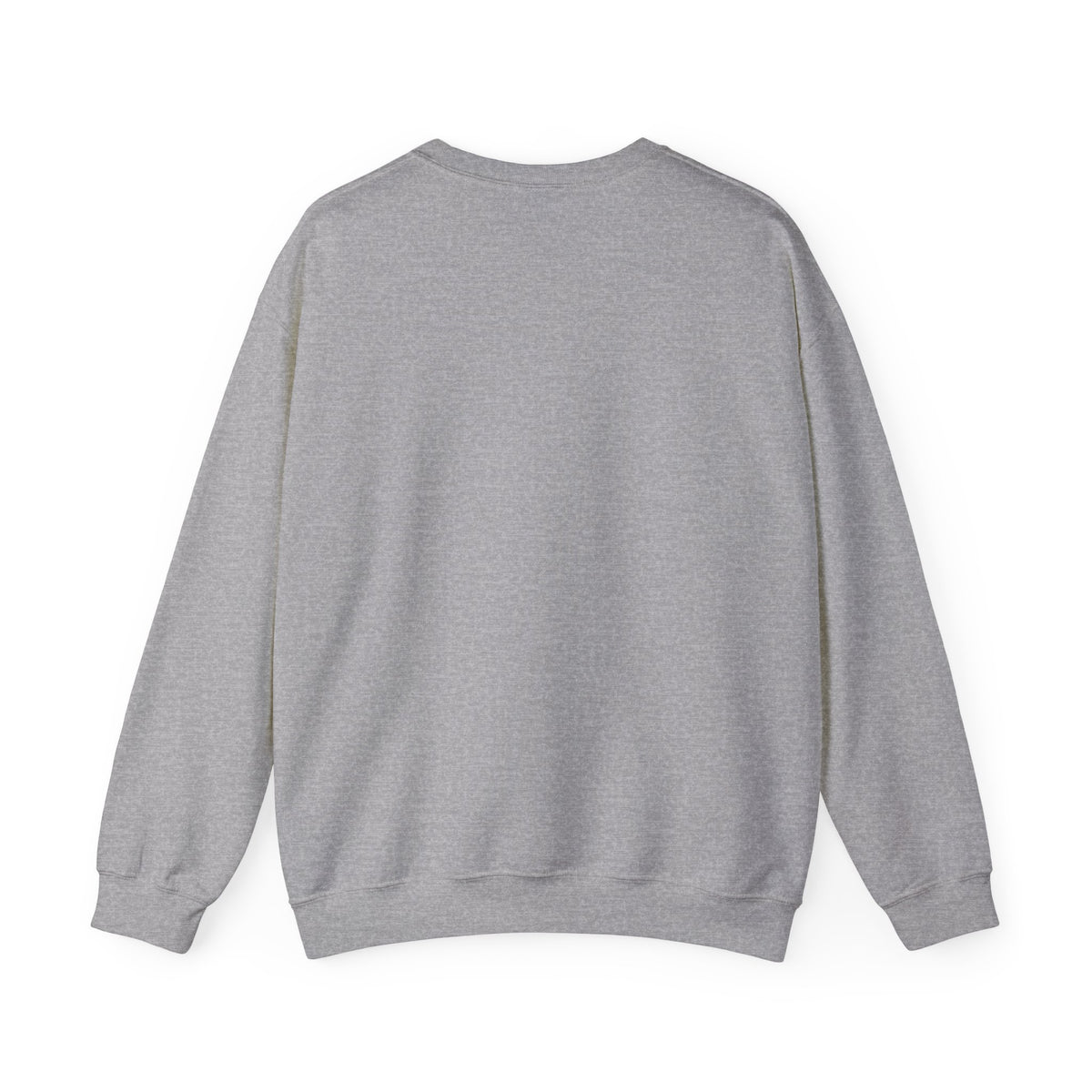 Crewneck Sweatshirt — "Best Planet I've Ever Visited" Earth Graphic