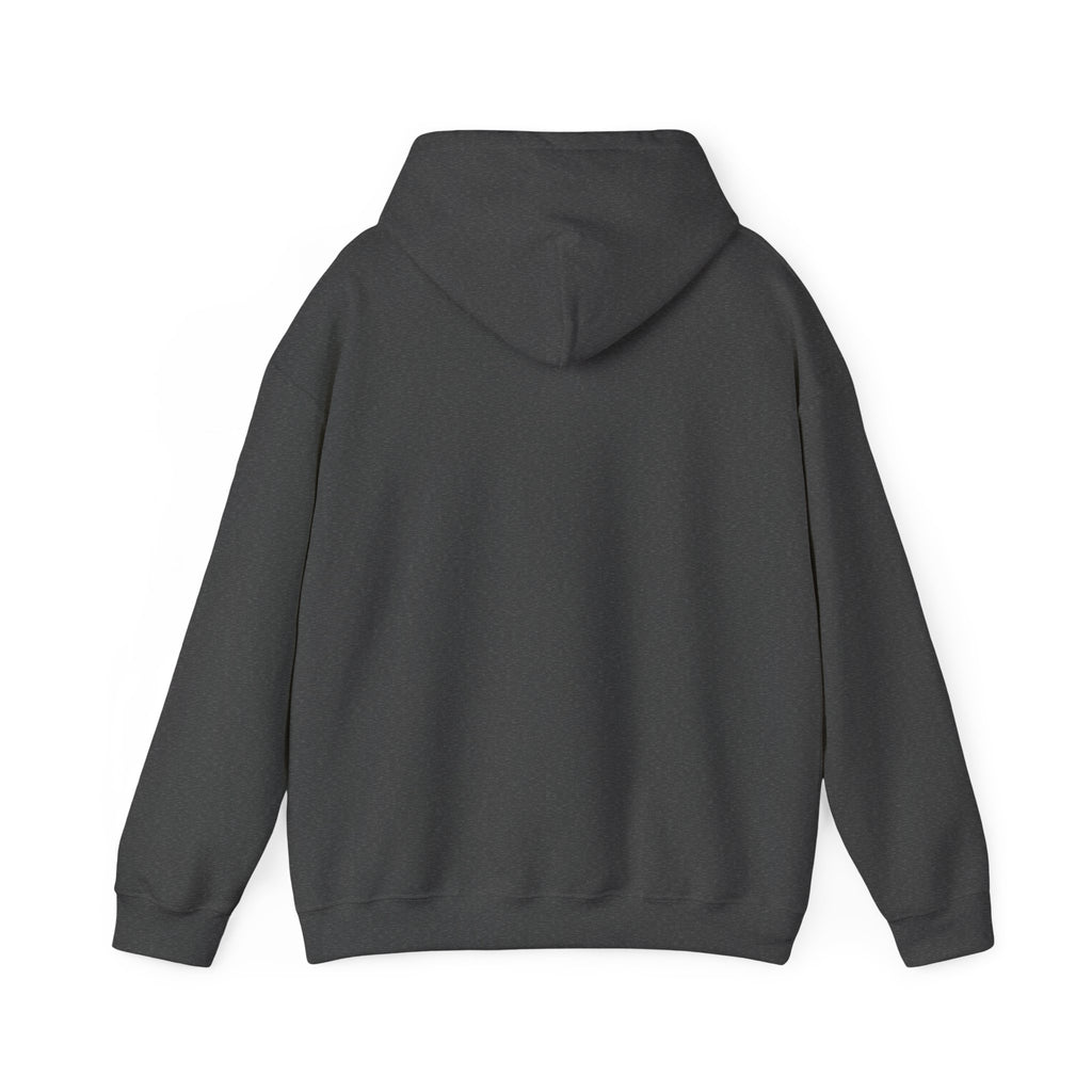Professional Overthinker Hoodie — Funny Mental Health Humor Pullover