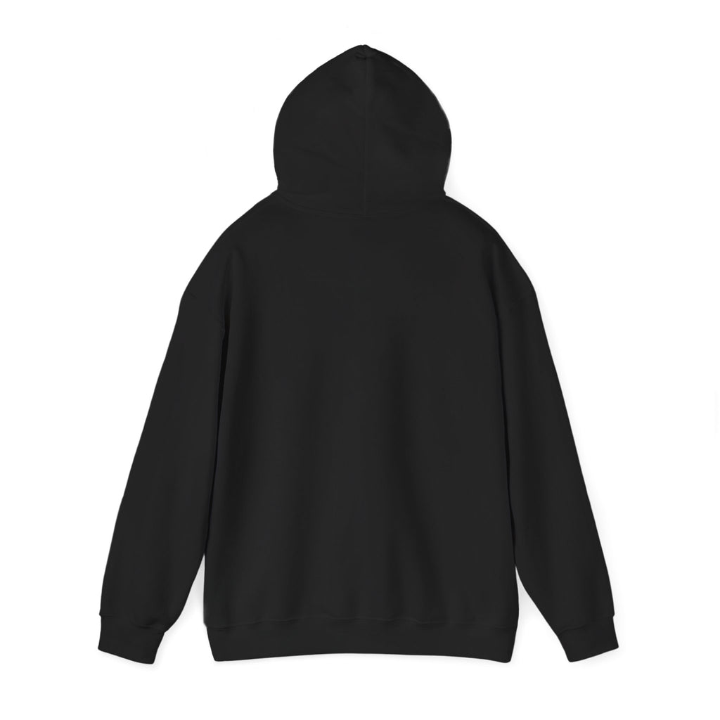 Planet Care Hoodie — "Everyday Planet" Eco Awareness Pullover