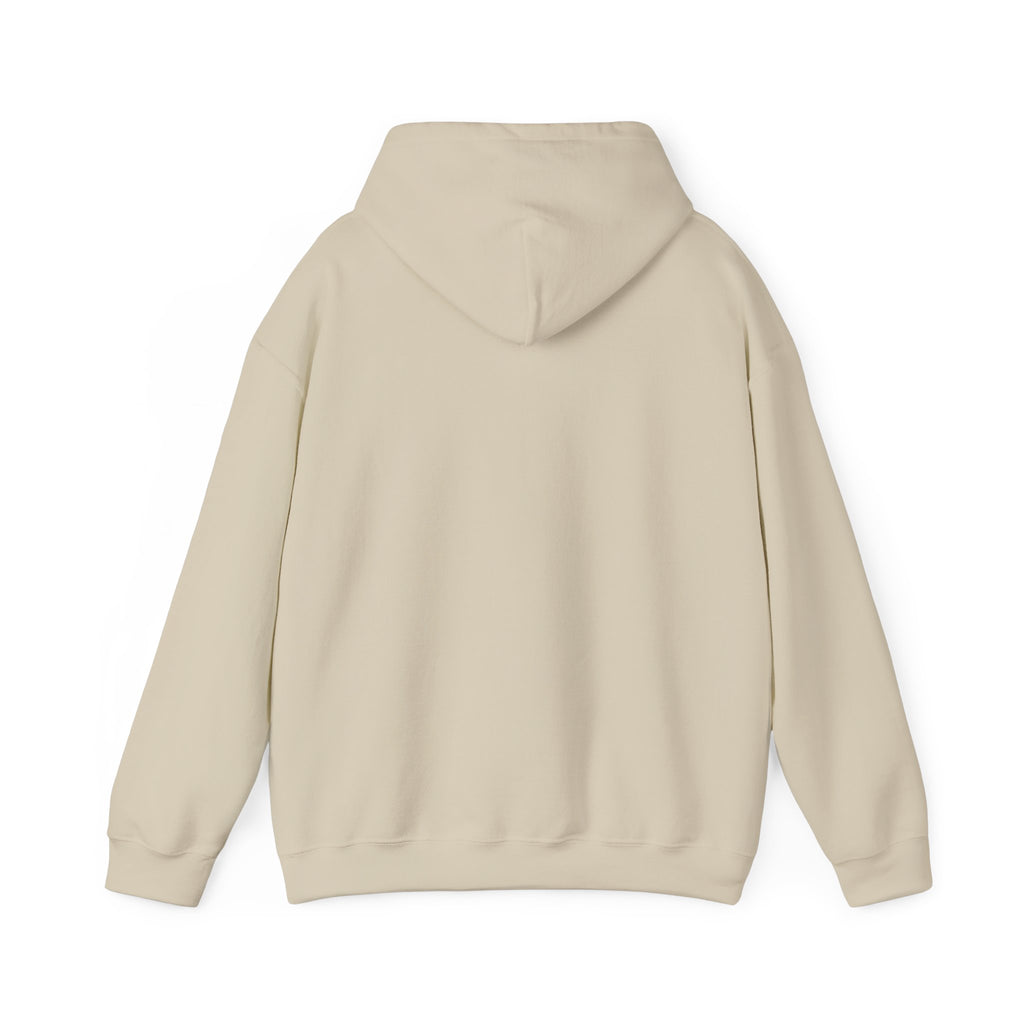Hoodie - "CDM Certified Disaster Magnet" Graphic Pullover