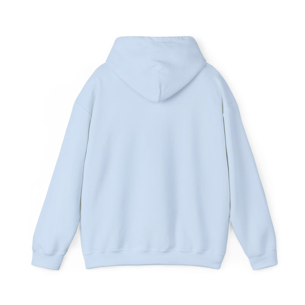 Hoodie — "Earth: 2/5 Stars, Wouldn't Recommend" Funny Review Graphic Hoodie