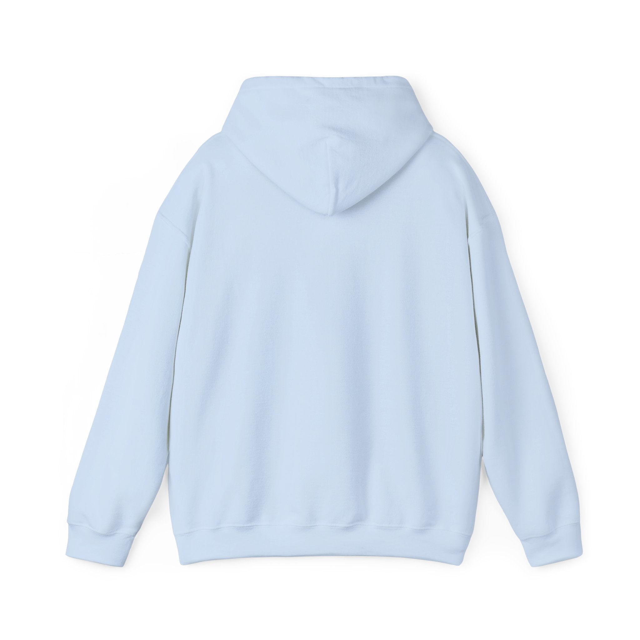Hoodie — "Earth: 2/5 Stars, Wouldn't Recommend" Funny Review Graphic Hoodie