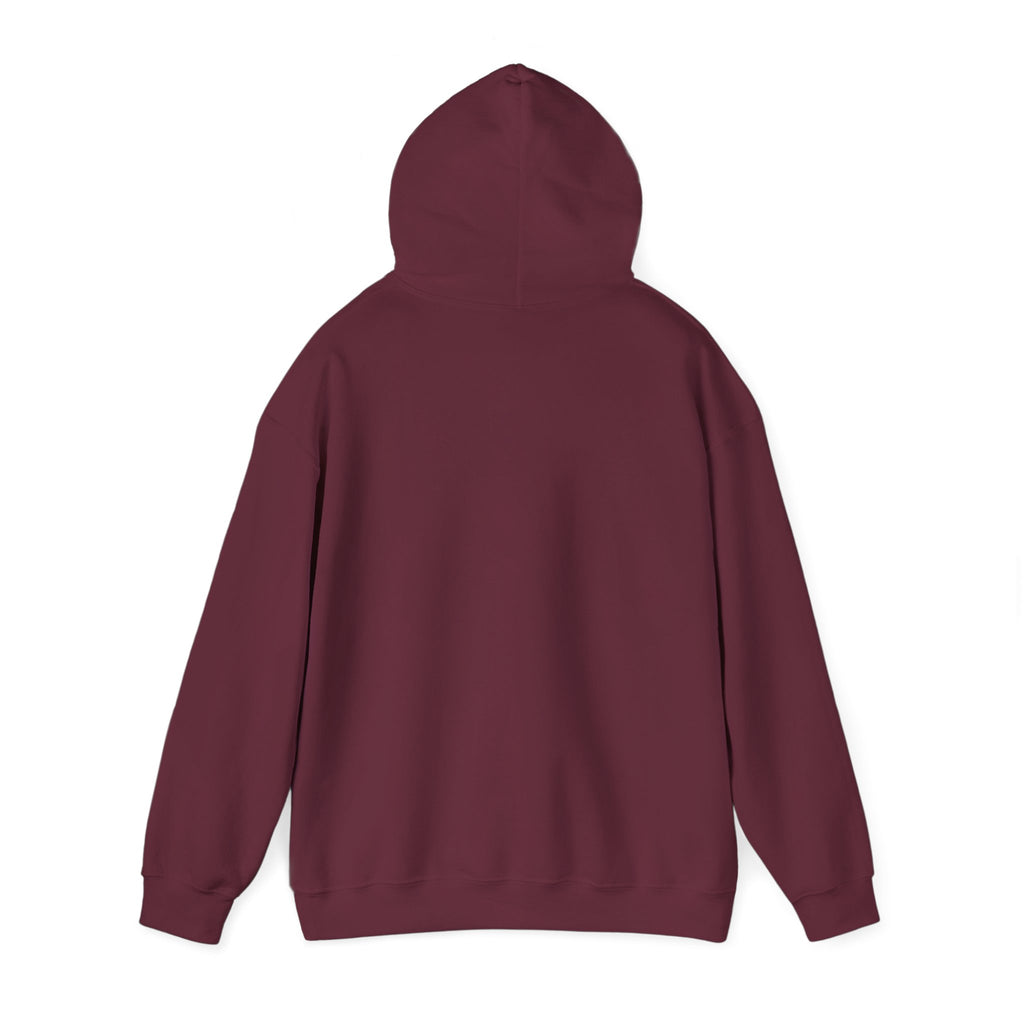 Professional Overthinker Hoodie — Funny Mental Health Humor Pullover