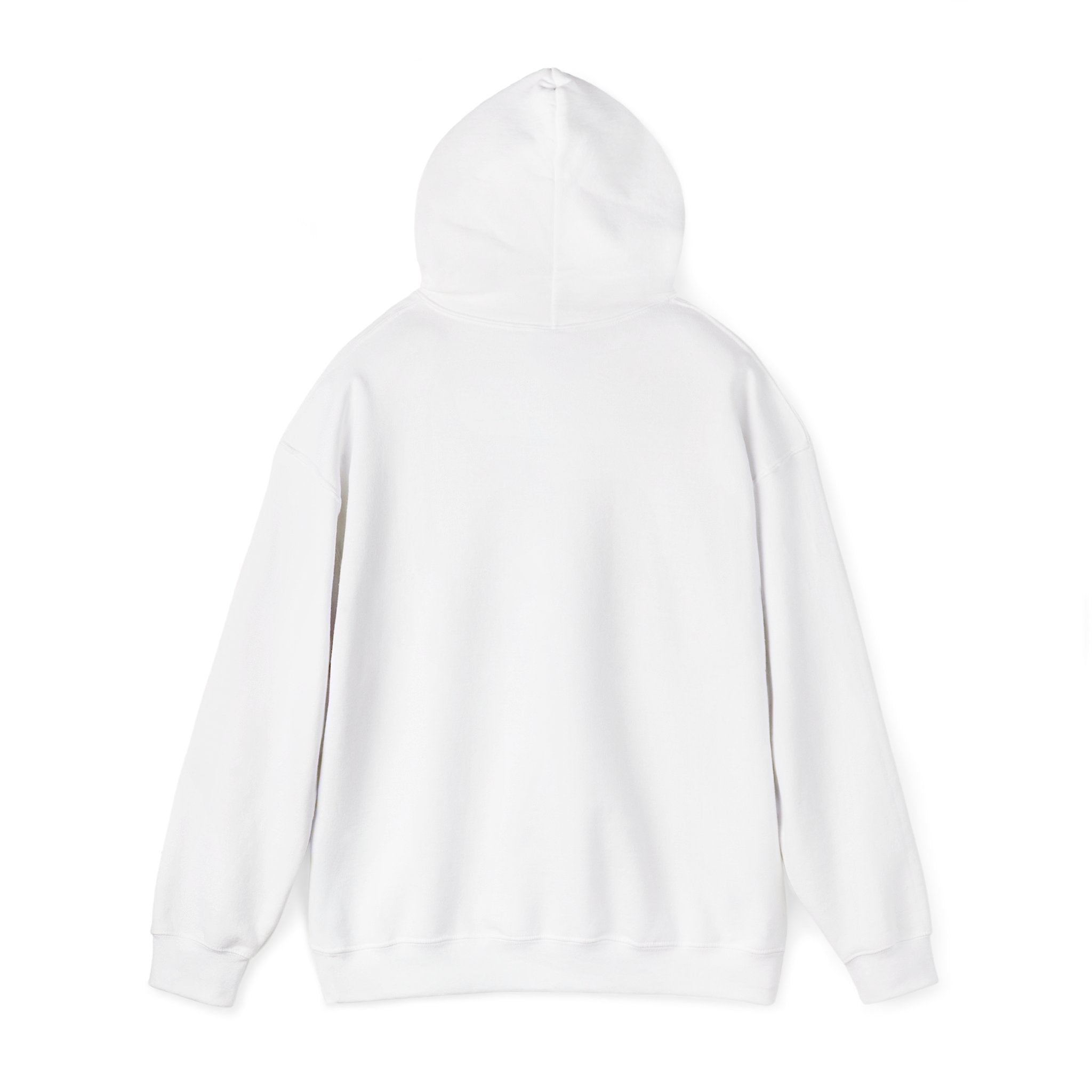 Hoodie - "CDM Certified Disaster Magnet" Graphic Pullover