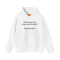 Hoodie – “What do you call a bear with no teeth? A gummy bear.” Funny Joke Pullover