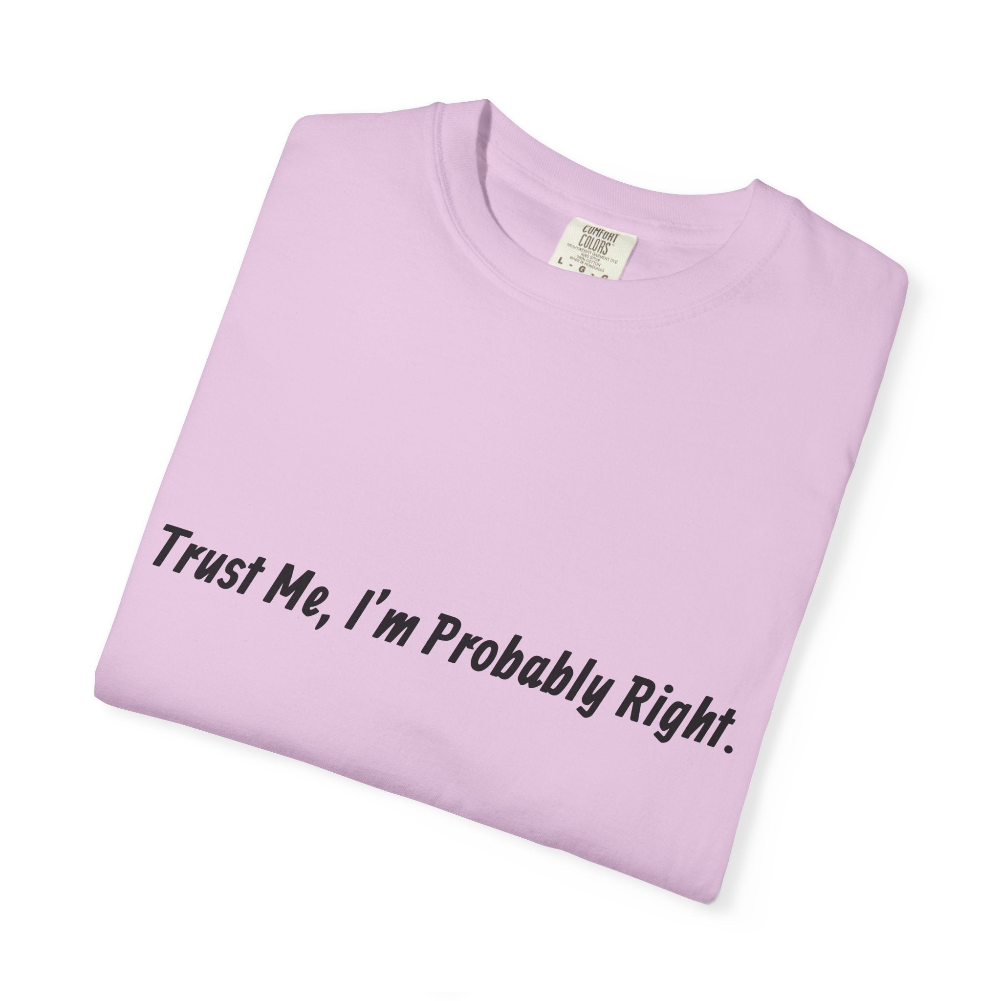 Trust Me I'm Probably Right T-Shirt — Funny Sarcastic Graphic Tee