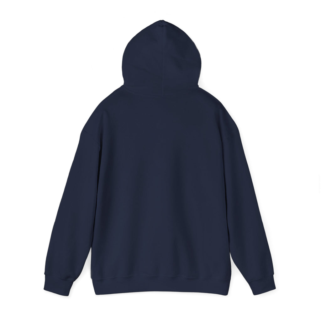 Hoodie - "CDM Certified Disaster Magnet" Graphic Pullover