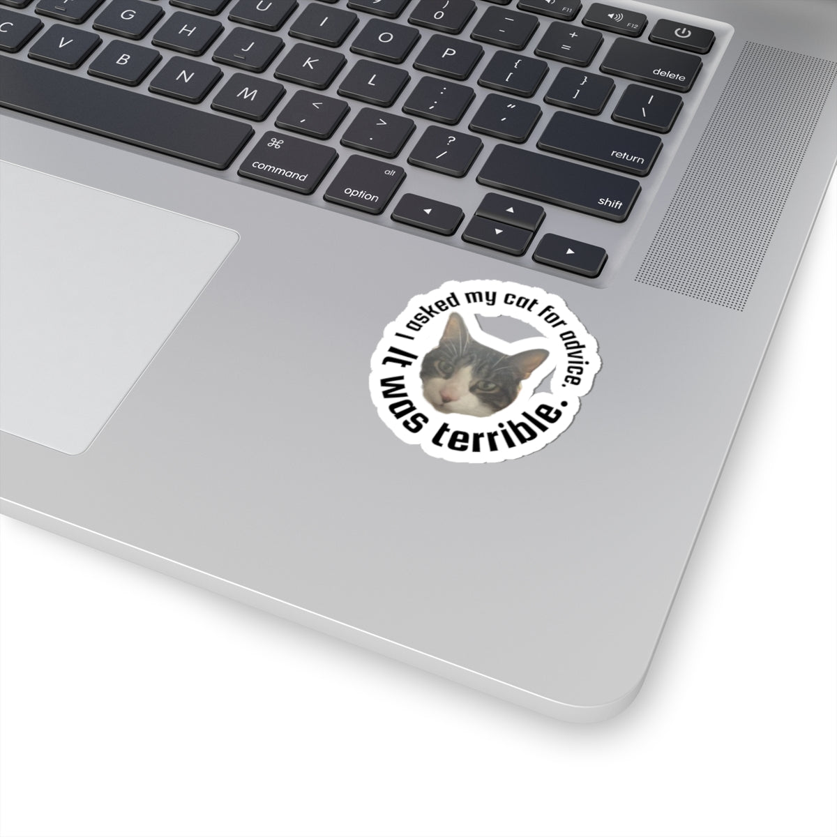 Kiss-Cut Sticker — “I Asked My Cat for Advice. I Was Terrible.” Funny Cat Decal