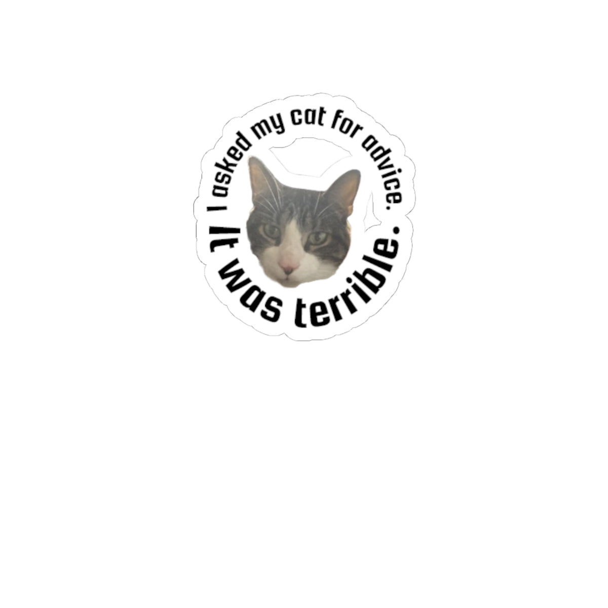 Kiss-Cut Sticker — “I Asked My Cat for Advice. I Was Terrible.” Funny Cat Decal
