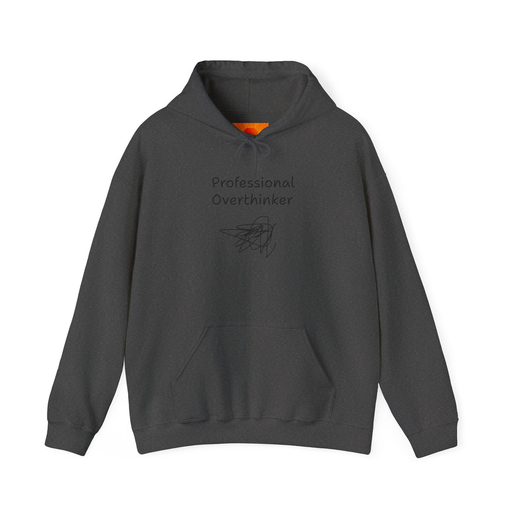 Professional Overthinker Hoodie — Funny Mental Health Humor Pullover