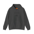 Professional Overthinker Hoodie — Funny Mental Health Humor Pullover