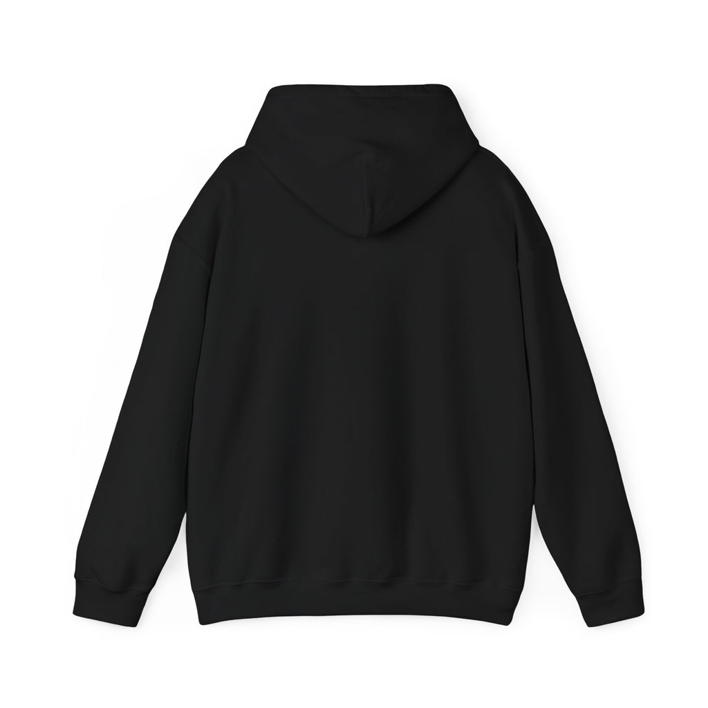 Planet Care Hoodie — "Everyday Planet" Eco Awareness Pullover
