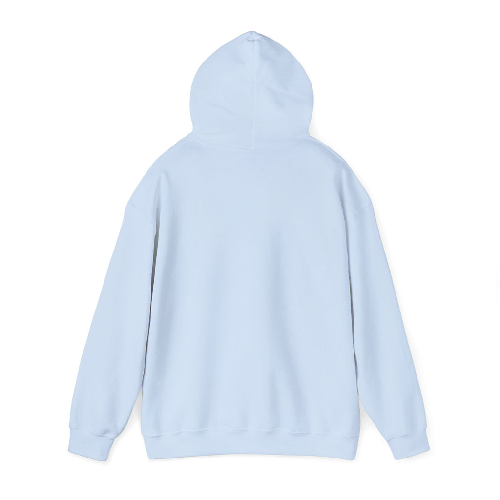 Hoodie — "Earth: 2/5 Stars, Wouldn't Recommend" Funny Review Graphic Hoodie