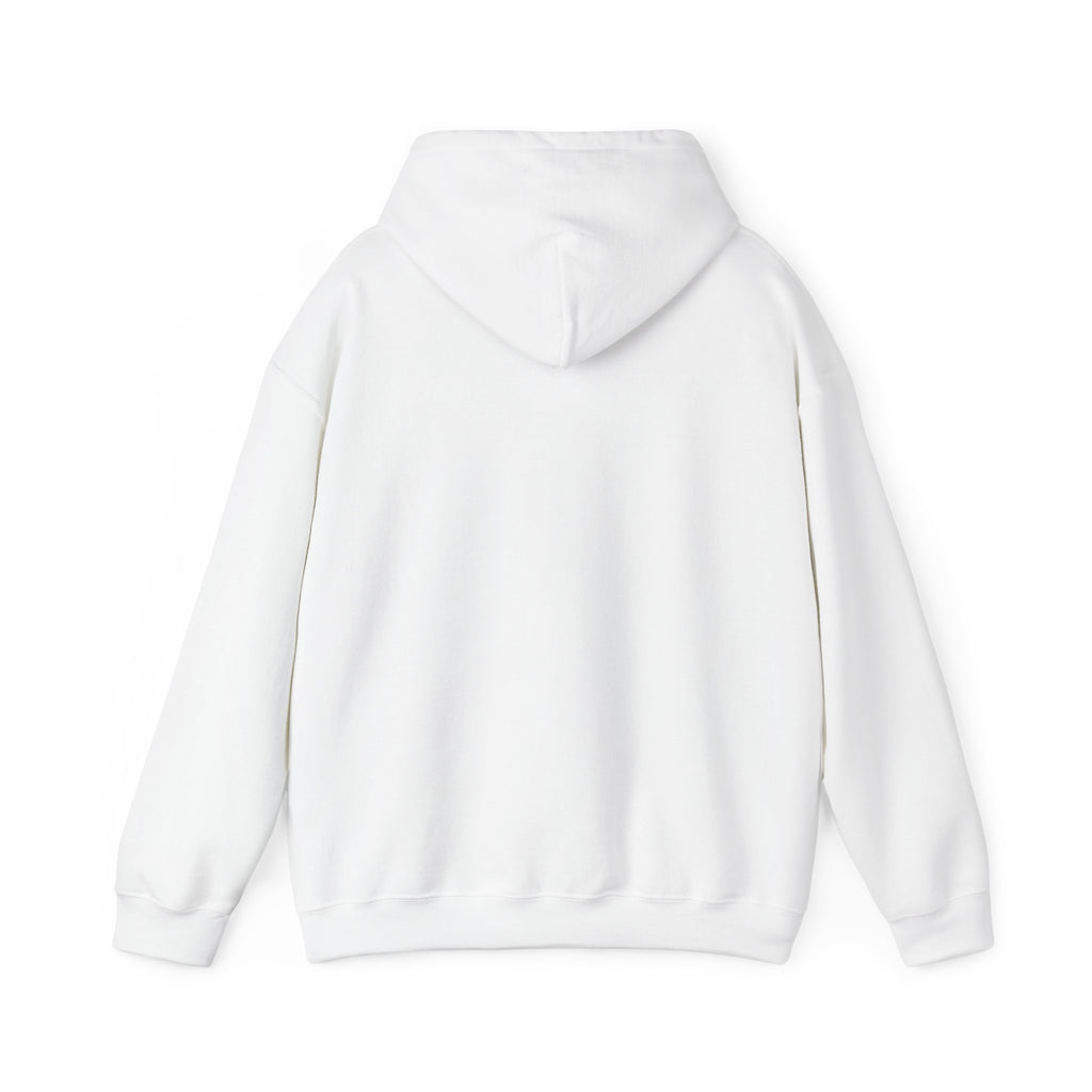 Hoodie - "CDM Certified Disaster Magnet" Graphic Pullover