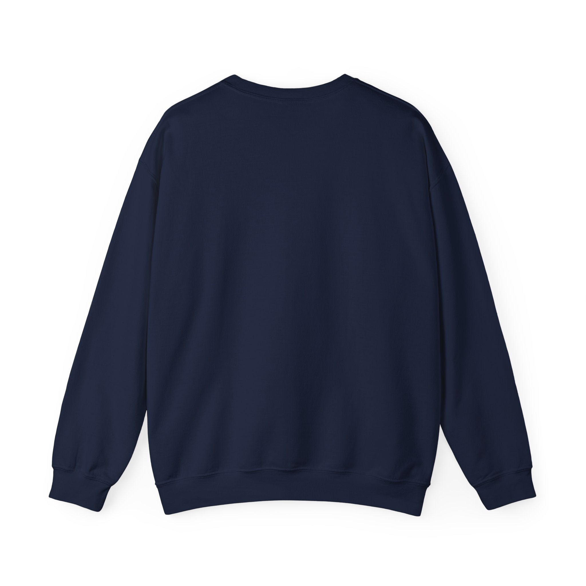 Sweatshirt — "Professional Overthinker" Minimal Graphic Crewneck