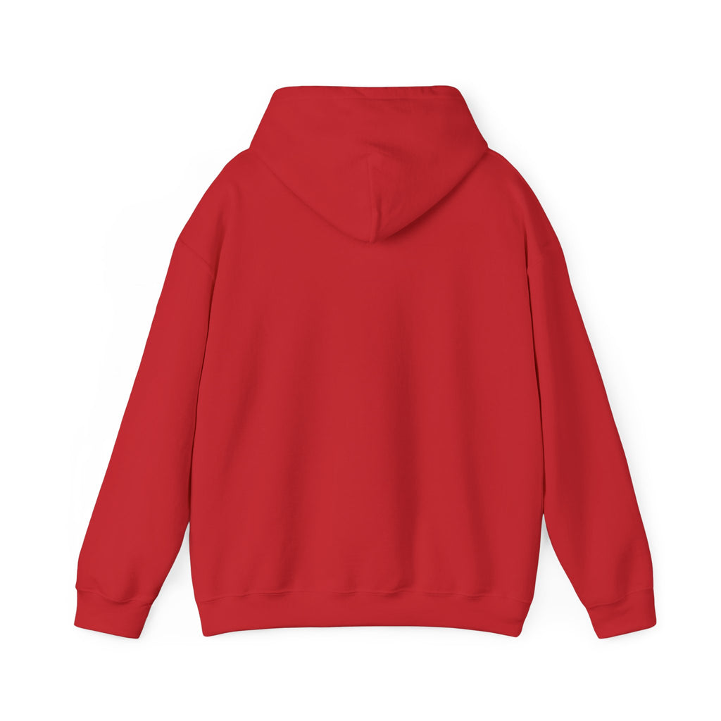 Professional Overthinker Hoodie — Funny Mental Health Humor Pullover