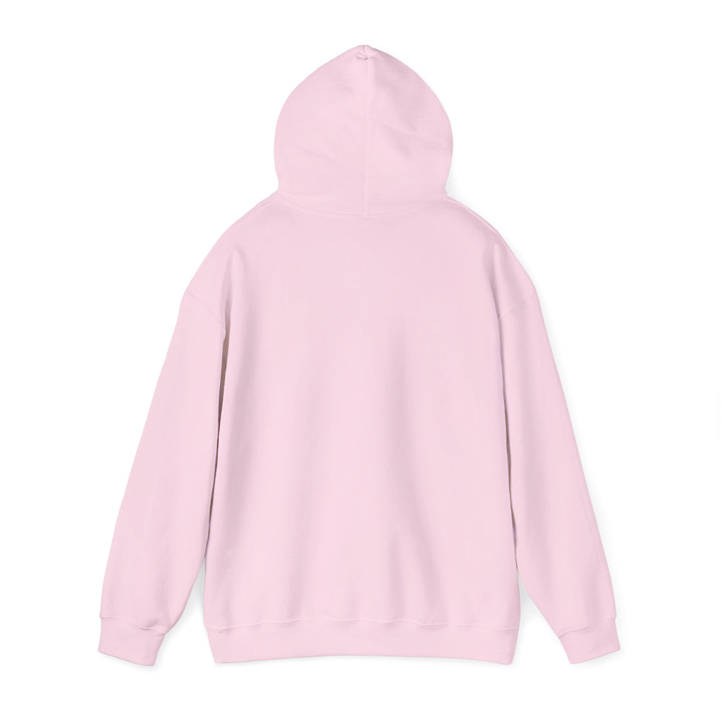 Professional Overthinker Hoodie — Funny Mental Health Humor Pullover